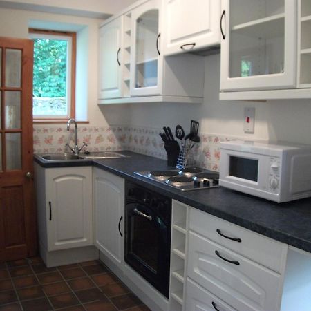 Bryn Cottage Llandderfel ภายนอก รูปภาพ