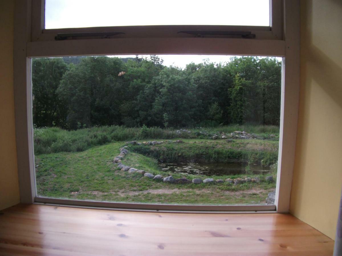 Bryn Cottage Llandderfel ภายนอก รูปภาพ