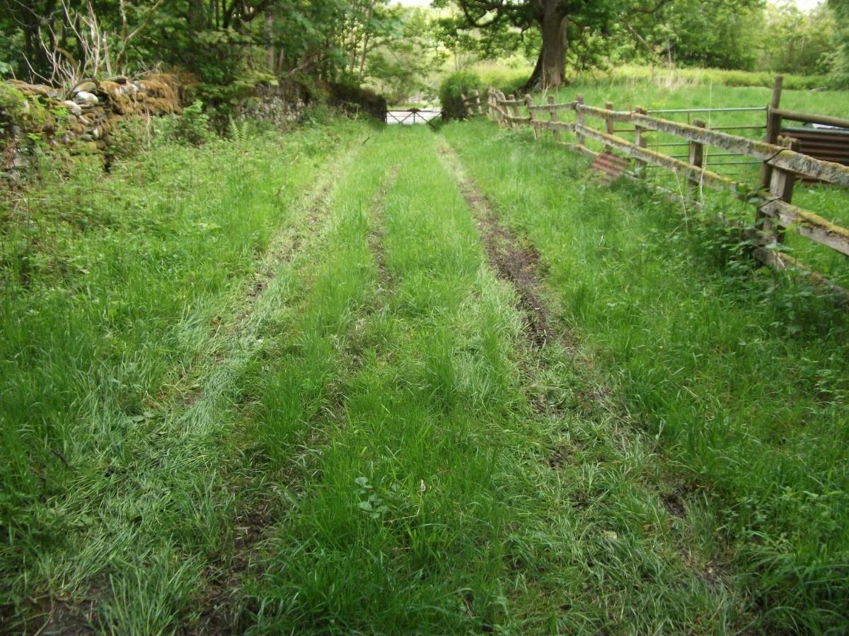 Bryn Cottage Llandderfel ภายนอก รูปภาพ
